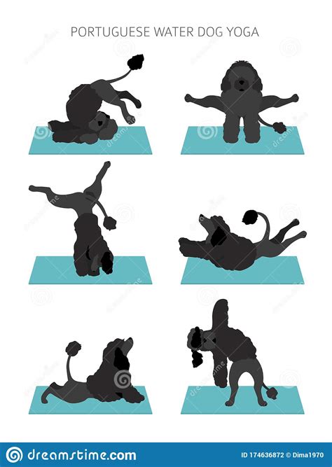 Lazy dog sleeping, cute welsh corgi puppy lying on back cartoon icon, vector illustration. Yoga Dogs Poses And Exercises Poster Design. Portuguese ...