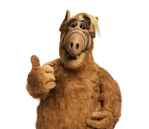 Download Alf Image Alf1 Hd Wallpaper And Background Photos By