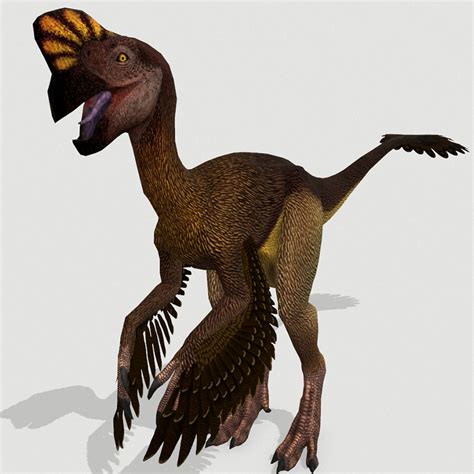 3d Model Oviraptor Lizard Dinosaurs Turbosquid 1366147