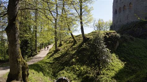 Ch Teau Du Spesbourg Visit Alsace