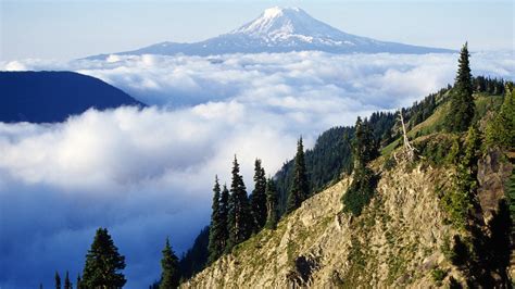Mount Adams Above Cloud Filled Valley Washington Usa Windows