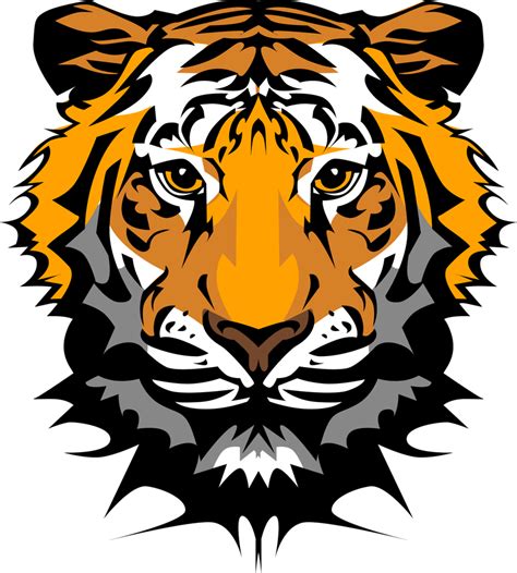 The Tiger Picture 20 Vector Vector Download
