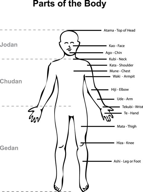 This site contains information about man body parts diagram. Parts of the Body | Ulster Karate Association
