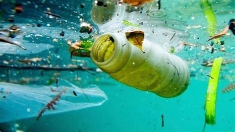 Petition · Stop Using Plastics And Straws ·