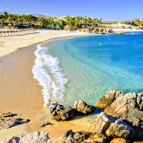 Los Cabos Y Sus 5 Mejores Playas Para Nadar