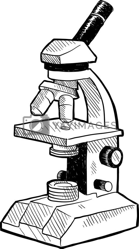 Laboratory Microscope Sketch By Lhfgraphics Vectors And Illustrations