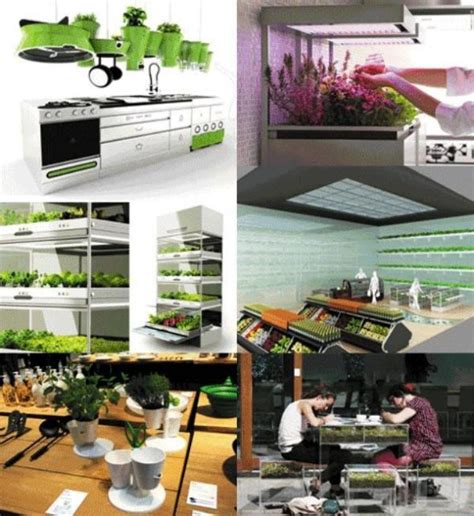 Hyundais Kitchen Nano Garden Apartment And Home Interior Decorating