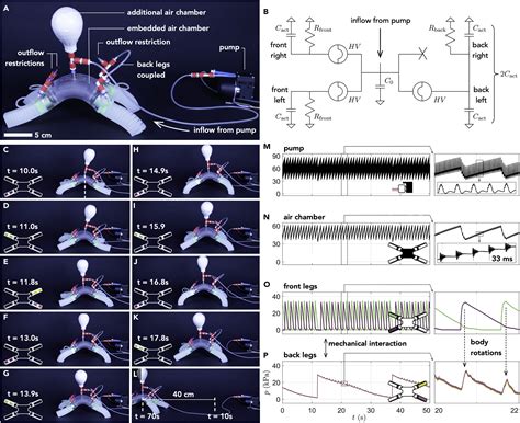 A Fluidic Relaxation Oscillator For Reprogrammable Sequential Actuation