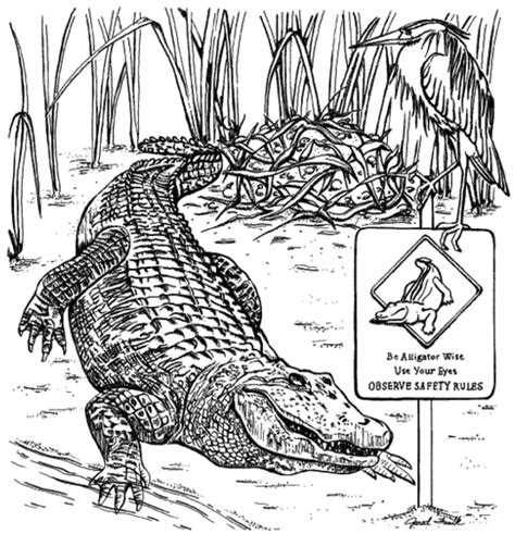Search through 623,989 free printable. Alligator.jpg 1,543×1,600 pixels | Animal coloring pages ...