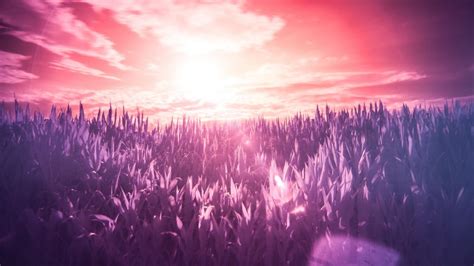 Pink Landscape Wallpapers Top Free Pink Landscape Backgrounds