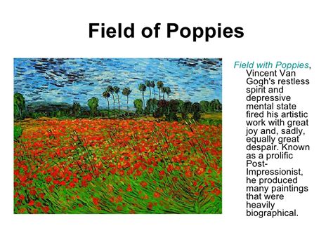 Field Of Poppies Field With