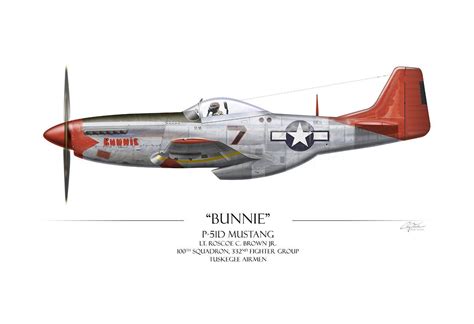 Tuskegee Airmen P 51 Mustang Aviation Art Print Profile P51 Mustang
