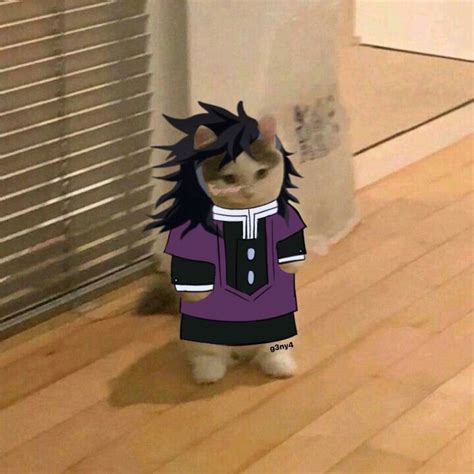 ↬ıɱɑɠɞɴɛʂ ɗɛ ĸɴʏ↫ 2° Genya Anime Kitten Slayer Anime Anime Cat
