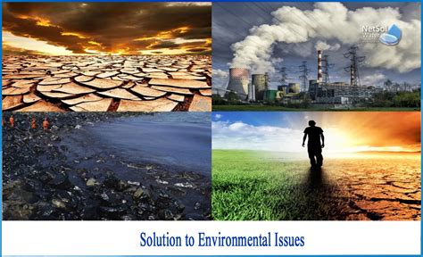 What Is The Solution To Environmental Issues Netsol Water