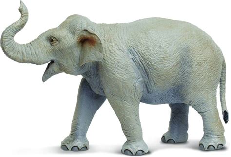 Safari Ltd Ww Asian Elephant Ww Asian Elephant Buy Elephant Toys In