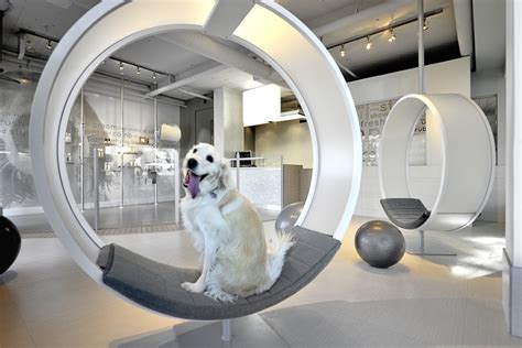 Unleashed Dog Spa Square One Interiors Archdaily
