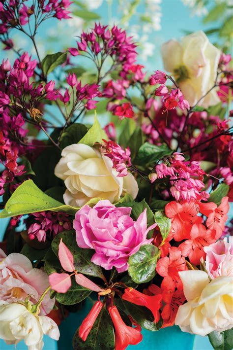 Violet flower wedding bouquet hd wallpapers famous. 500+ Bouquet Pictures HD | Download Free Images on Unsplash