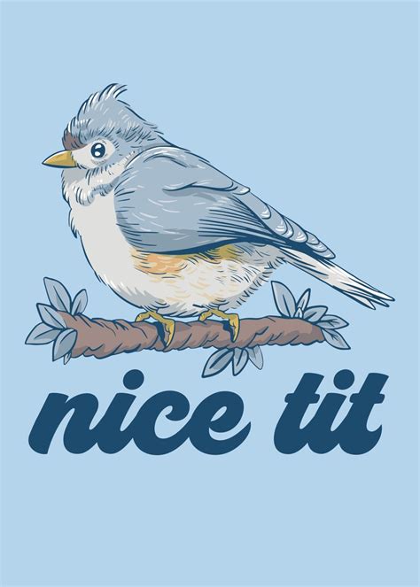 Nice Tit Funny Bird Lover Poster By Philip Anders Displate