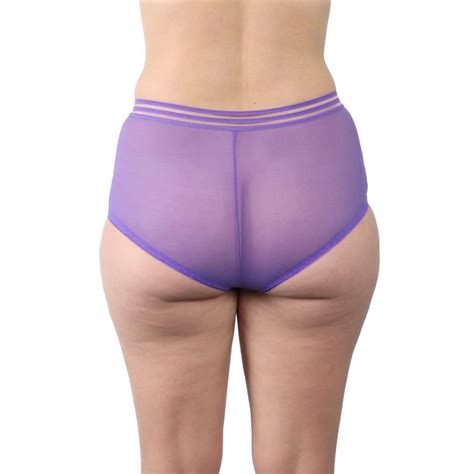 Sexy Purple High Waisted Sheer Lace Underwear Panties Plus Size