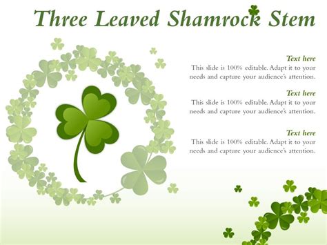 Three Leaved Shamrock Stem Powerpoint Slide Templates Download Ppt