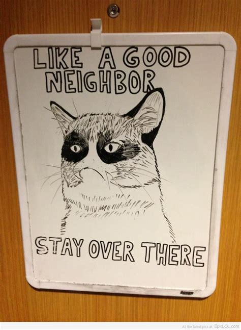 Grumpy State Farm Grumpy Cat Funny Pictures Hilarious
