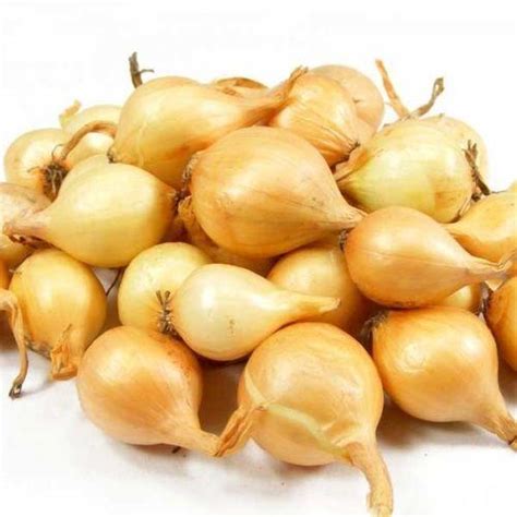 Onion Sets Seeds And Bulbs Ebay