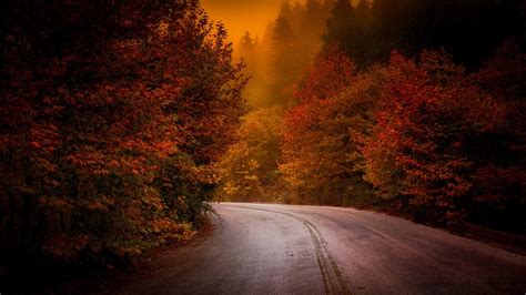 Autumn Road Wallpapers High Quality Download Free