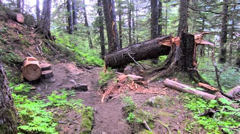 Hiking The Mount Roberts Trail In Juneau Alaska Youtube