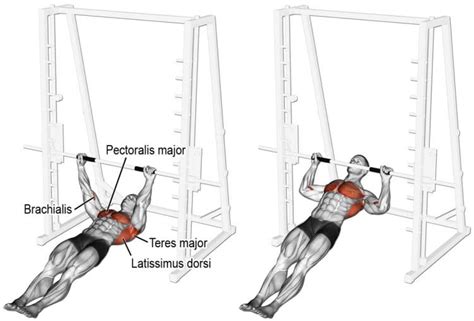 Horizontal Row How To Muscles Worked Variations And Benefits