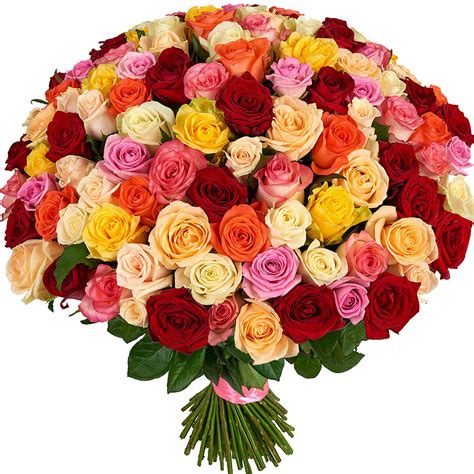 These lovely and very beautiful flowers make a mesmerizing. Say Sorry by Sending Flowers or by Just Saying or Writing