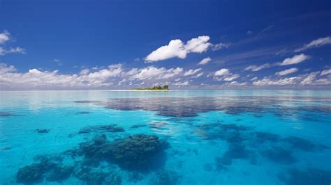 Paradise Island among the shallows wallpapers and images - wallpapers ...