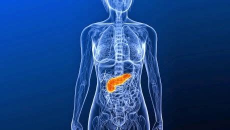 Diet selepas pembedahan pada pankreas melibatkan penggunaan makanan yang dibuang, diseka, sup, kentang masam, bubur. Konsumsi 6 Makanan Ini untuk Menjaga Kesehatan Pankreas ...
