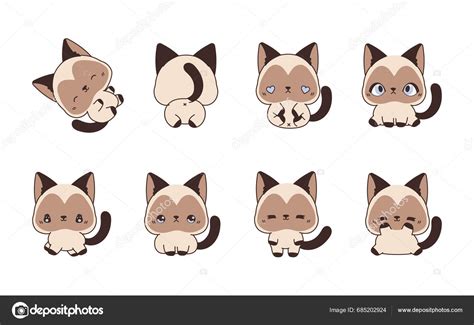 Set Kawaii Isolated Siamese Cat Collection Vector Cartoon Kitten