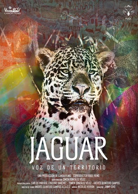 Jaguar Voz De Un Territorio Un Documental De Templanza Y Armonía