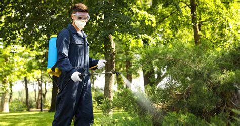 How To Become A Certified Pest Control Technician In Australia