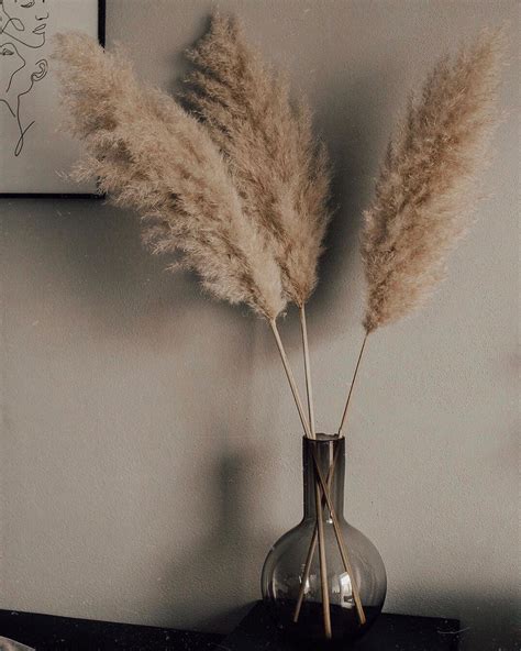Pampas Grass In Handm Vase New In Home Decor Pampas Grass Decor House