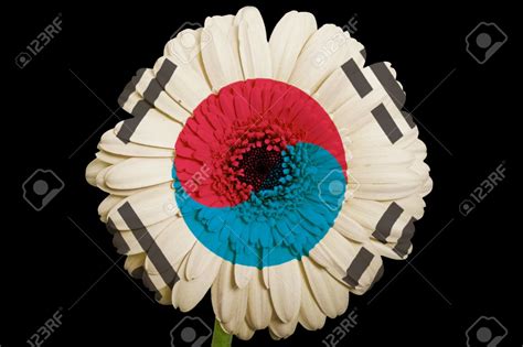 The Republic Of South Korea 대한민국 The Traditional Flower Of South Korea