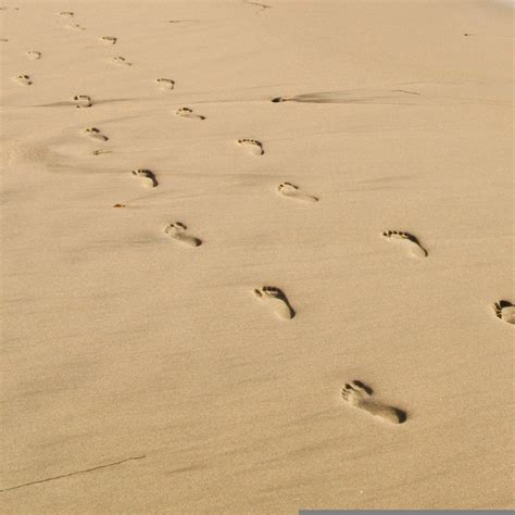 Free Footprint In The Sand Clipart Free Images At Vector