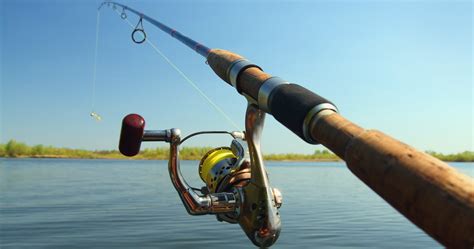 Best Telescoping Fishing Rod
