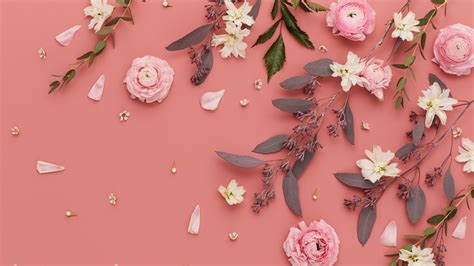 Download Nice Beautiful Wallpapers Desktop Flower