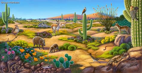 Desert Ecosystem