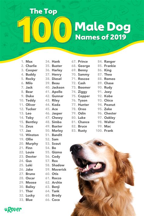 The Top 100 Male Dog Names Of 2019 Dog Names Dog Names Male Best