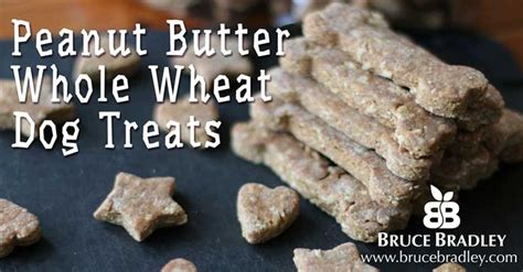 Recipe Peanut Butter Whole Wheat Dog Biscuits Recipe Dog Biscuit