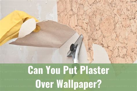 Can You Put Plaster Over Wallpaper How To Ready To Diy