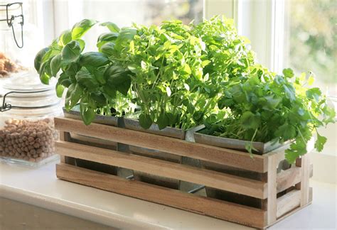 Details About Kitchen Herb Window Planter Box Wooden