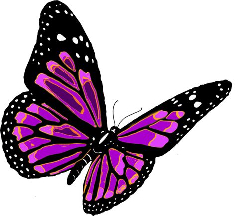 Selain itu sketsa ini juga masih sangat tipis agar kemudian dapat ditindak lanjuti dengan gambar sketsa kupu kupu 3d. gambar: Gambar Kupu Kupu Lengkap