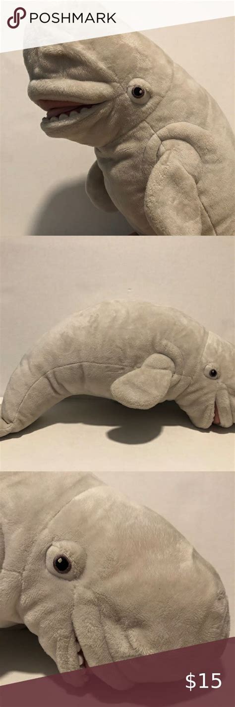 Disney Store Pixar Finding Dory Bailey Beluga Whale Plush 18 In 2022 Finding Dory Bailey
