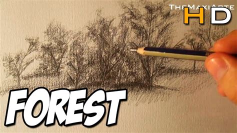 How To Draw A Forest With Pencil Step By Step Timelapse Youtube