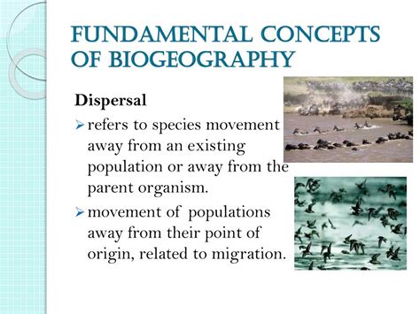 Ppt Biogeography Powerpoint Presentation Free Download Id2195371
