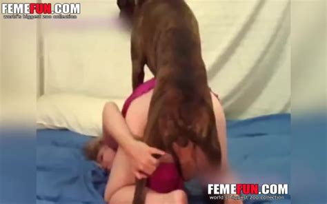 Girl Fulfills Xxx Fantasy Provoking Wonderful Dog To Fuck Her Xxx Femefun